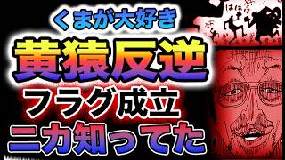 【ワンピース 1100ネタバレ最新話感想】黄猿を変えたくま！サターン聖は知っている！黄猿とニカ！(予想妄想)