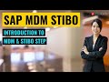 Introduction to MDM & Stibo Step | SAP MDM Stibo Training | Zarantech