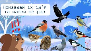 Зимова математика з Білочкою. Лічба від 1 до 9. Осілі птахи та їх звуки #зима #птахи #winter #birds