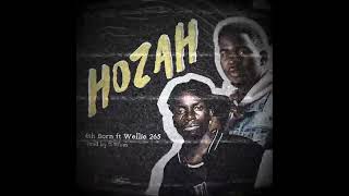 4th born FT wellie 265 _ (HOZAH)