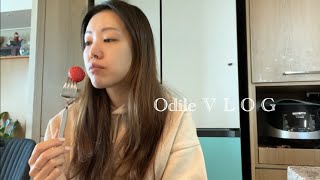 vlog • 초등맘 일상 • 🖇돌아온 문구덕후 • 평범아침 • ⛄️어린이는 눈이 좋아 • 머리카락 홈케어 💇🏻‍♀️ | 주부일상 브이로그 오딜 odile