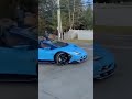 Lamborghini car status