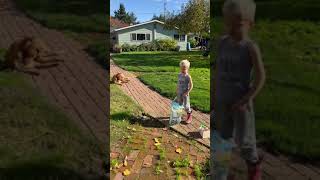 Azariah Made a bird house and is singing to the birds