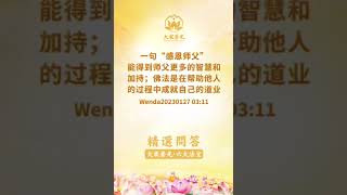 🌈精选问答 20230127 一句“感恩师父”能得到师父更多的智慧和加持；佛法是在帮助他人的过程中成就自己的道业