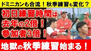 【猛練習復活】秋季練習にも変化！？厳しい秋季練習が開始！新ドミニカン練習生3人も合流【広島東洋カープ】