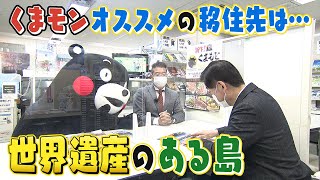 【移住】くまもんがオススメする世界遺産がある島•天草　イルカウォッチング＆ちゃんぽんなど魅力いっぱい【熊本】