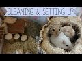 Cleaning & Setting up the Gerbils Cage Cleaning & Setting up the Gerbils Cage