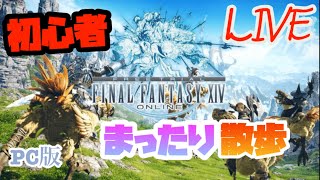 【FF14】初心者光の戦士がまったりストーリー進めていく