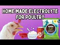 Home Made Electrolyte for Poultry | Heat Stress Management in Poultry