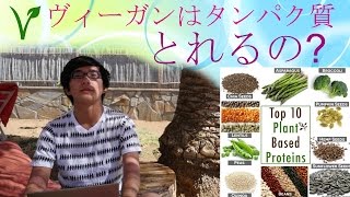 ビーガンはタンパク質とれるの?