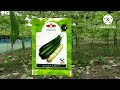 অসময়ে লাউ চাষ করে প্রতিদিন ৩০০০ টাকা আয় earning 3000 every day bottle guard cultivation.