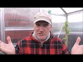 weaste allotments 12 05 2016