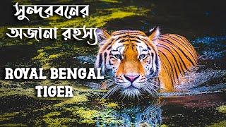 সুন্দরবনের আতঙ্ক রহস্যময় রয়েল বেঙ্গল টাইগার || Unknown Mysteries of Sundarban | Royal Bengal Tiger