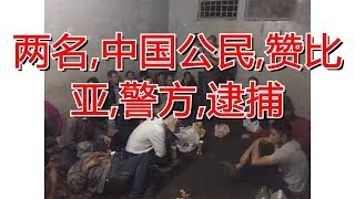 两名,中国公民,赞比亚,警方,逮捕