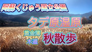 【タデ原湿原秋散歩】