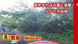 【伐採】かかり木処理　倒木処理