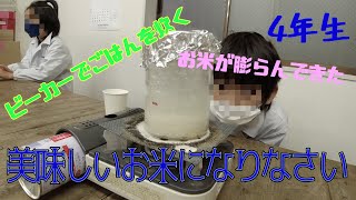 美味しいお米になりなさい：４年生：理科実験 【麻布科学実験教室】