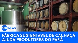 Agro: Fábrica sustentável de cachaça ajuda produtores no Pará | #SBTNewsnaTV (23/07/23)