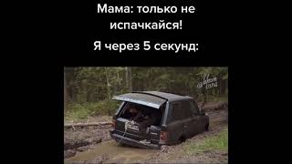 как академик испачкался