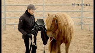 Icelandic young horse training with Sigvaldi Lárus Guðmundsson