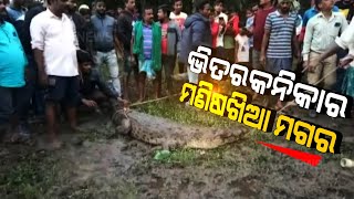 Rajnagar Terrified | Maneater Crocodile Tension | Odisha |