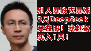 美股投资分析：3只无人关注的DeepSeek受益股，我正在买入1只