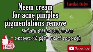 කුරුලෑ ඇක්නි වදේ සම්පූර්ණයෙන් නැතිකරන කොහොඹ ක්‍රීම් එක😱 DIY Neem cream for acne pimples remove