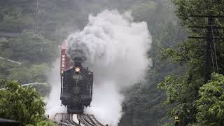 去年の7月豪雨、前日の球磨川第一橋梁を渡るSL人吉号。