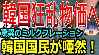 【絶望韓国】韓国経済「狂乱物価で国民が唖然ｗｗｗ」牛乳が圧倒的インフレ！ミルクフレーションへｗｗｗ　韓国絶望ニュース【ゆっくり解説】