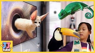 신기한 동물들을 캡쳐! 주렁주렁 애니멀 테마파크 실내놀이터 Animal safari song Nursery Rhymes for kids[제이제이 튜브-JJ tube]