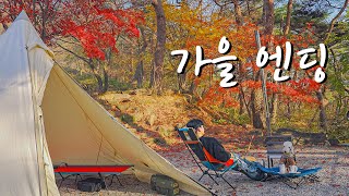 폭설 피해 떠난 단풍 성지에서 즐긴 마지막 가을 캠핑 🍁❄️