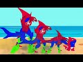 MONSTER RADIATION vs TEAM SHARKZILLA, WHITE KONG, SPIDER DINOSAUR T-REX Godzilla Cartoon Compilation