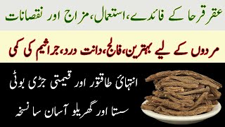 Akarkara ke fayde aur nuksan || Aqar Qarha Health Benefits And Side Effects Pellitory Root Uses urdu