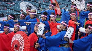 2023 San Francisco Giants' Japanese Heritage Night By UZUMARU