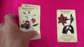 Giờ đây Mỗi khi nhìn thấy Bạn Họ cảm thấy sao nghĩ thế nào-Phương Nga Tarot