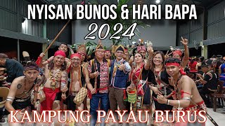 Penutupan Gawai Dayak Kampung Payau Burus 2024 ( Part 1 )