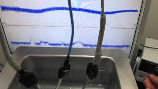 超音波プローブ実験　Ultrasonic probe experiment