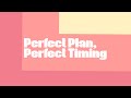 Perfect Plan, Perfect Timing - Mark Wimble