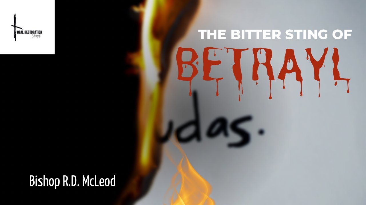 The Bitter Sting Of Betrayal - YouTube