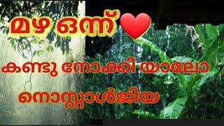 നമ്മുടെ നാടിന്റെ മനോഹരമായ മഴ കാഴ്ച ഒന്ന് കണ്ടാലോ ❤👌👌