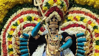 அருள்மிகு வேம்புலி அம்மன் திருக்கோயில் திருவள்ளூர் அருள்மிகு திரு காளியம்மன் வீதி புறப்பாடு