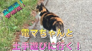 土手マニアさんにオススメ