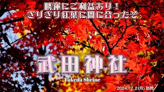 【山梨県】百名城の武田神社から信玄公のお墓まで おさんぽ