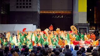 [4K] 大阪大学お祭りダンスサークル祭楽人　龍馬よさこい 2019 2日目