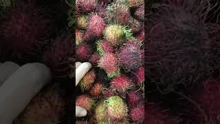 Amazing sweetness of Rambutan fruit #trending #shorts