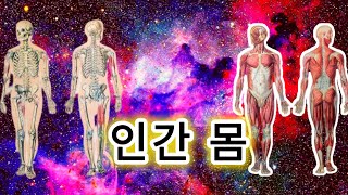 인간의 몸: 역사상 가장 놀랍도록 복잡하고 가장 완벽한 기계를 탐험해보세요...