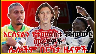 አርሰናልን የተመለከቱ የዝውውር መረጃዎች| የካለፍዮሪ የዝውውር ጉዳይ | ሌሎችም በርካታ የዝውውር መረጃዎች | Arsenal | Transfer News |