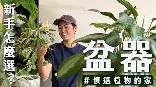 如何挑選適合植物的盆器？｜7種室內植物盆器選擇｜盆器搭配技巧