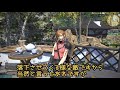 ff14 初心者さんにおすすめ❗️初めての討伐戦解説♪ ´▽｀