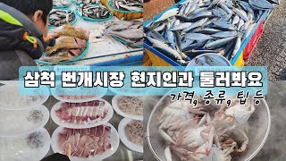 삼척번개시장(오징어, 운영시간, 먹거리, 회, 생선), 삼척 가볼만한곳, 여행